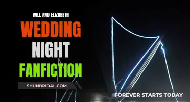 Will & Elizabeth: A Night of Passion and Adventure