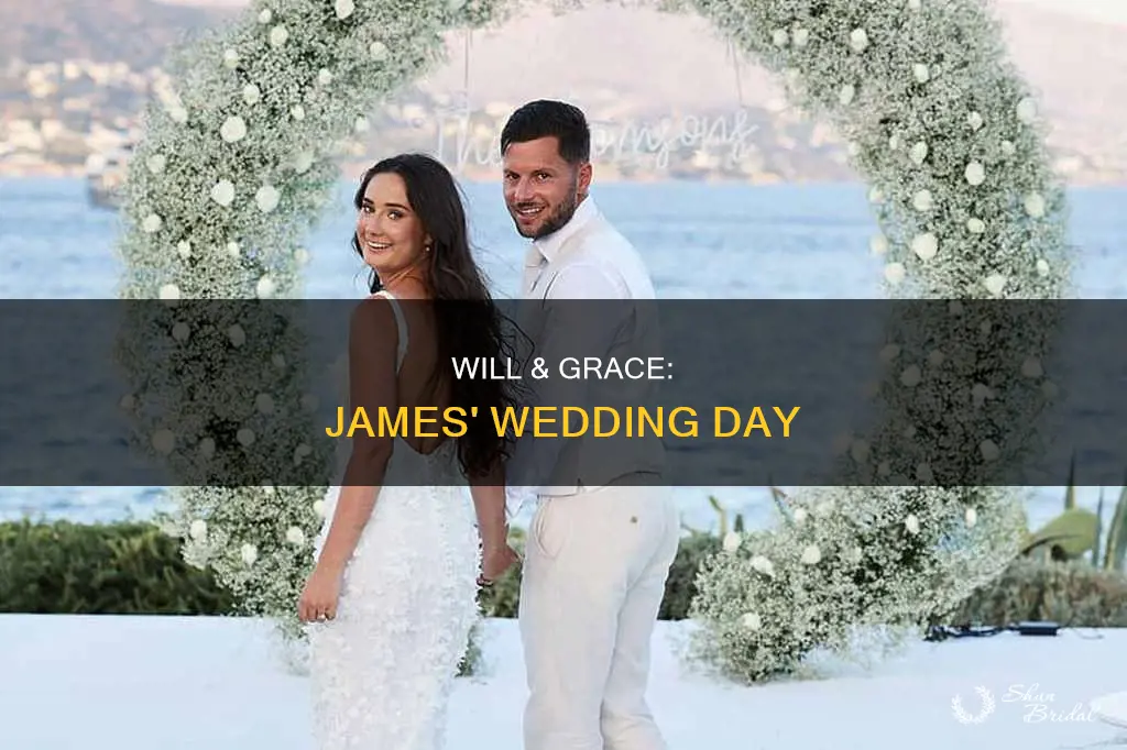 will and grace james wedding