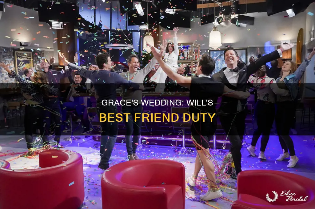 will and grace my best friend