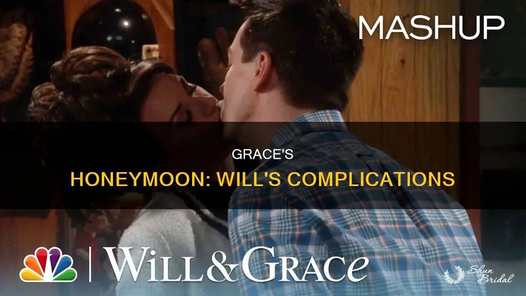 will and grace the honeymoon