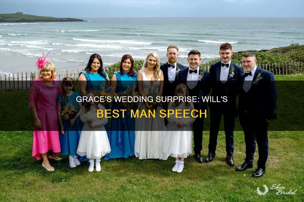 will and grace vince wedding
