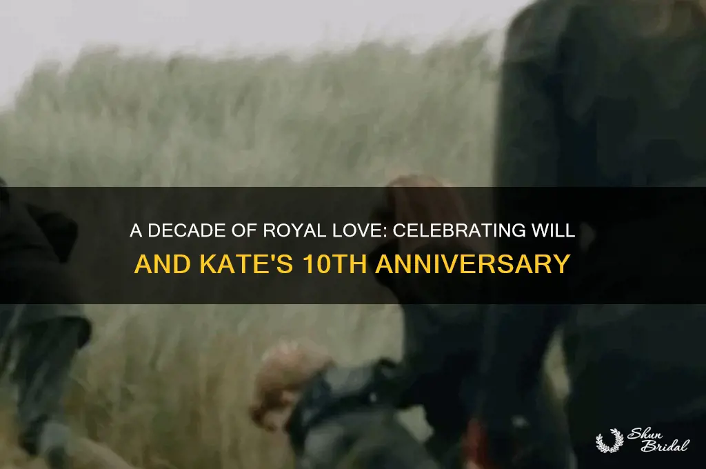 will and kate 10th wedding anniversary