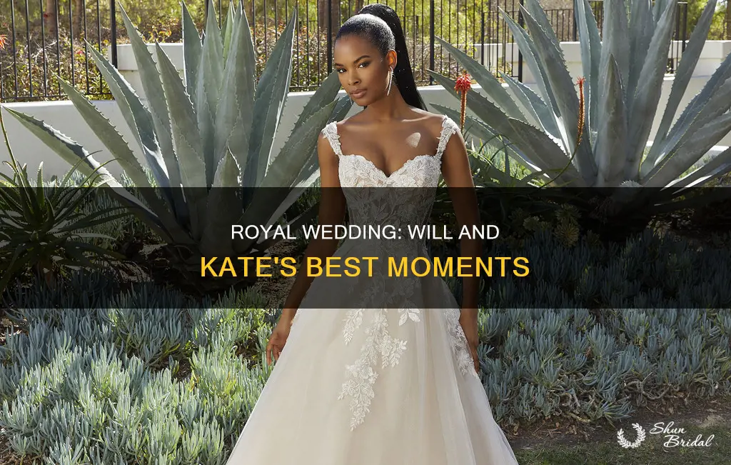 will and kate clips from wedding