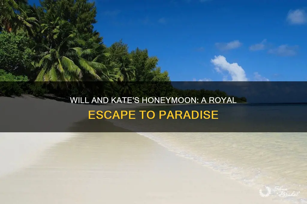 will and kate honeymoon