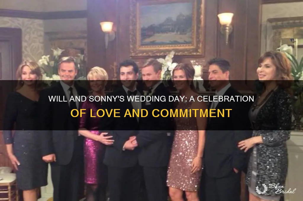 will and sonny wedding day