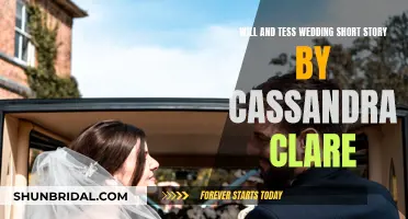 Will and Tess's Wedding: A Short Story Collection by Cassandra Clare