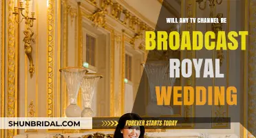 Royal Wedding Replay: Will TV Channels Rebroadcast the Historic Event?