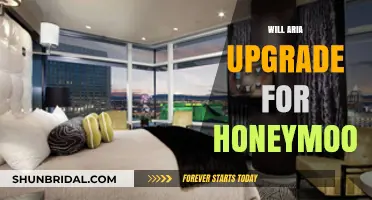 Will Aria Upgrade Enhance Your Honeymoon Experience? A Detailed Review