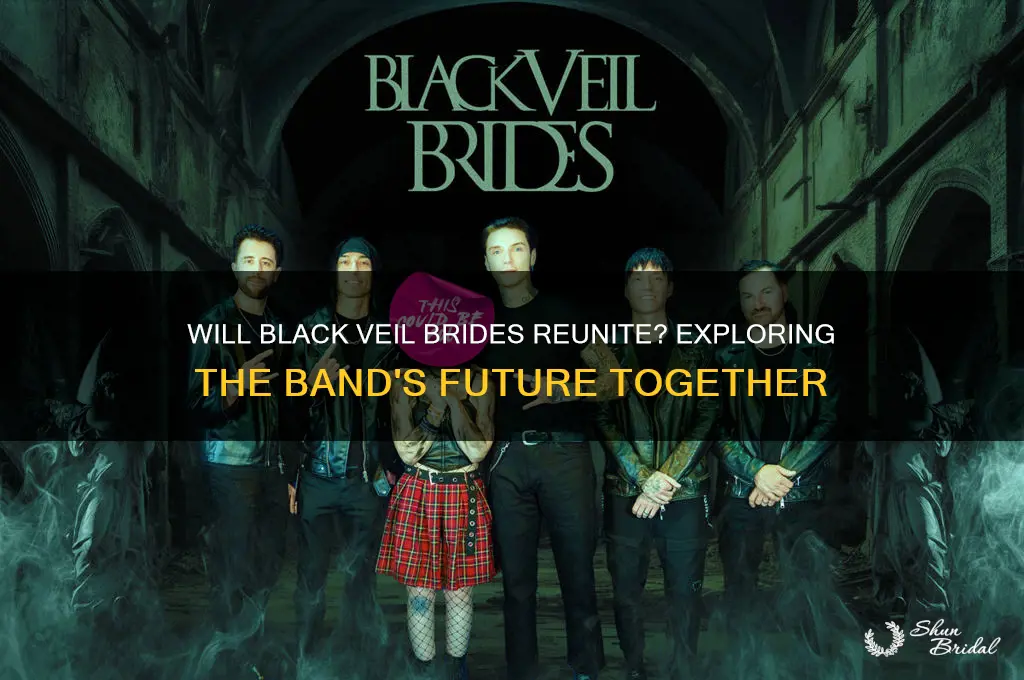 will black veil brides get back together