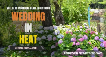 Hydrangeas: Outdoor Wedding Heat Endurance Test