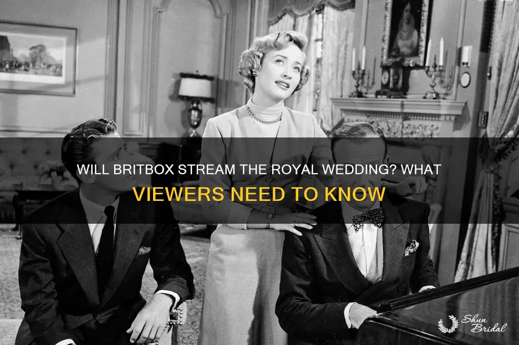 will britbox stream royal wedding