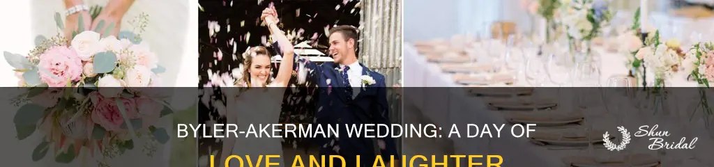will byler and amiee akerman wedding
