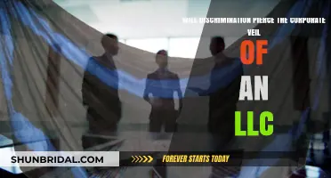 Can Discrimination Breach an LLC's Corporate Veil? Legal Insights