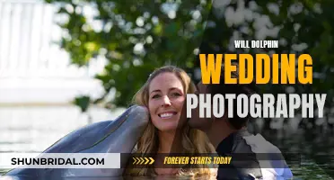 Dolphin Wedding Photography: Capturing Magical Moments Under the Sea