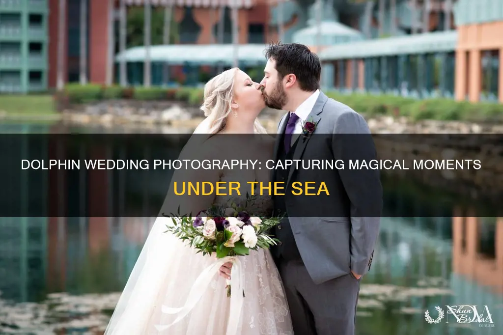 will dolphin wedding photography
