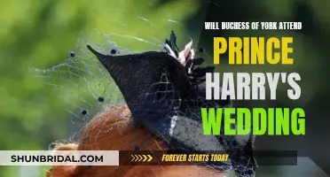 Who Will Attend Prince Harry's Wedding?