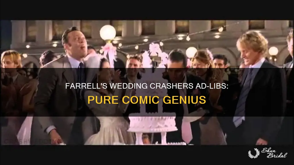 will farrel adlib in wedding crashers