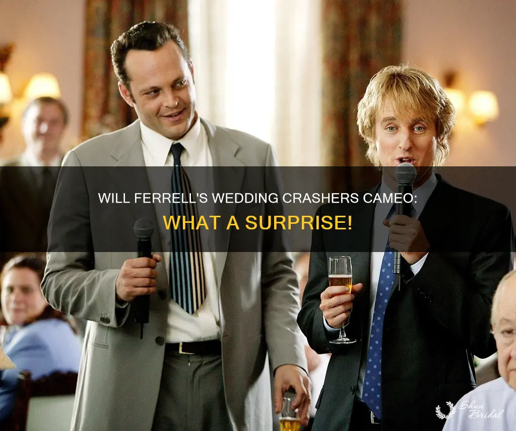 will farrell came downstairs in wedding crashers