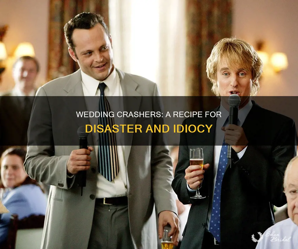 will fellel idiot wedding crashers
