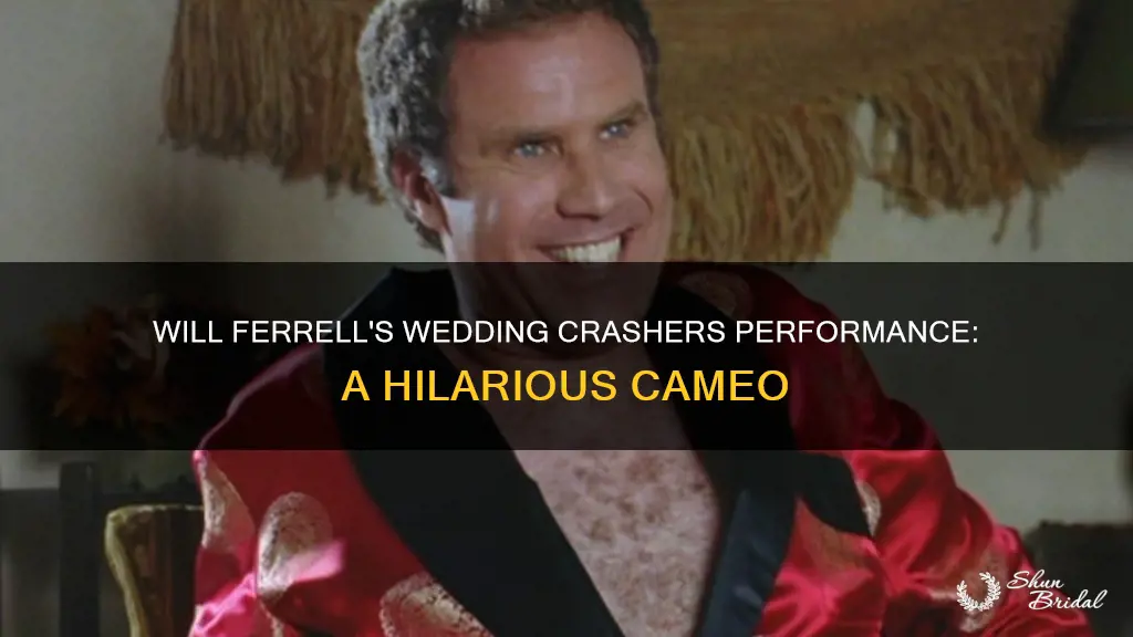 will ferrel from wedding crashers