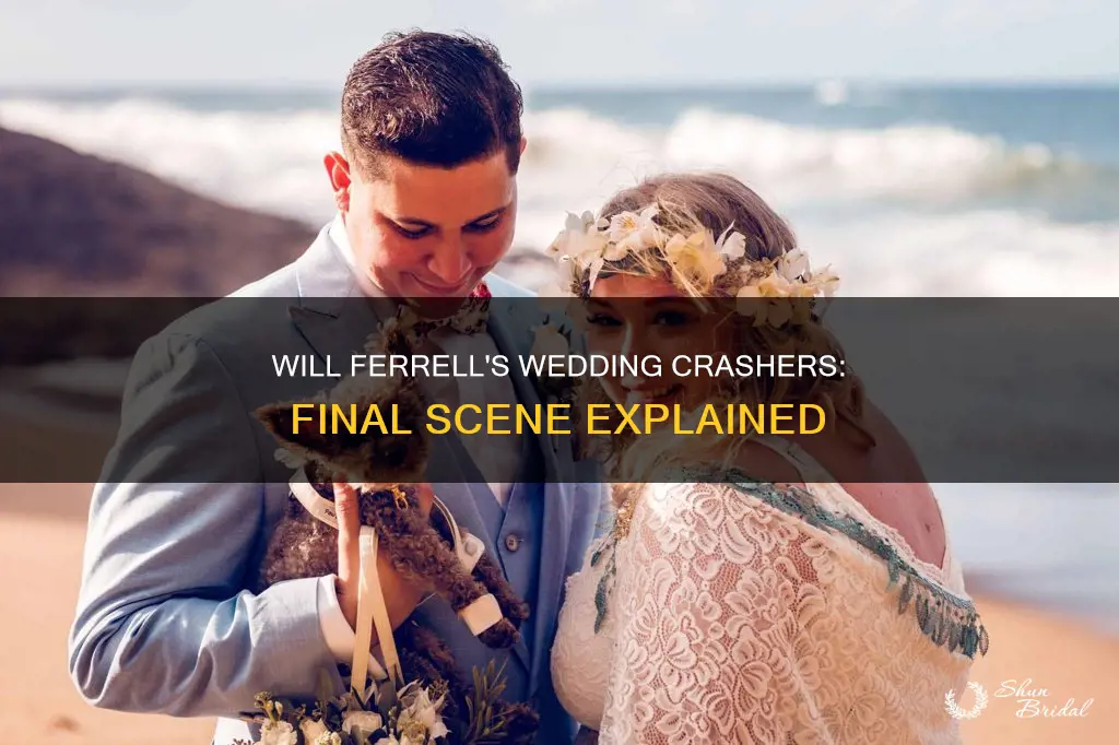 will ferrell wedding crashers final scene