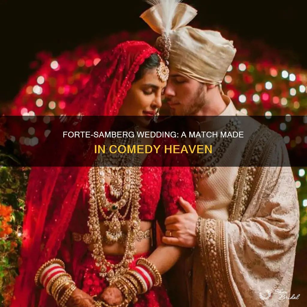 will forte andy samberg wedding