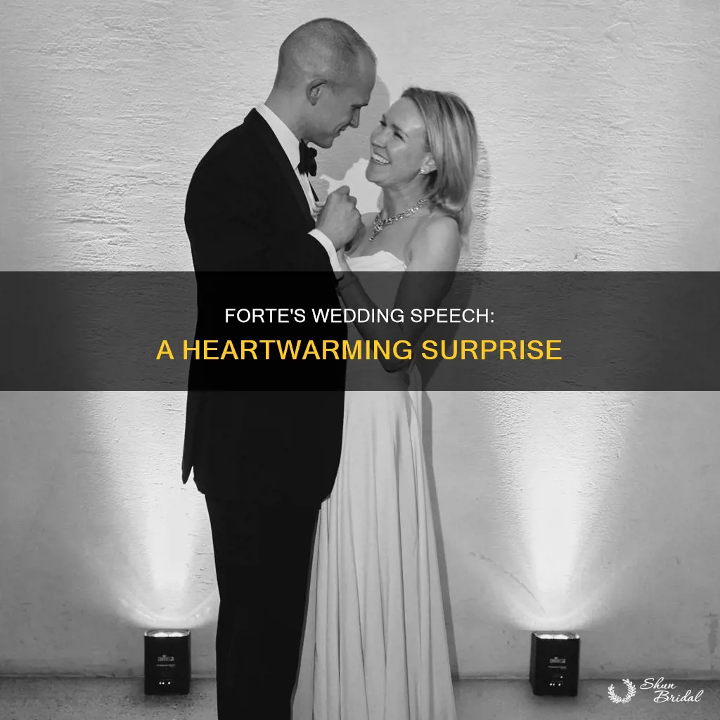will forte wedding speech