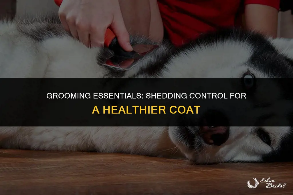 will grooming help shedding