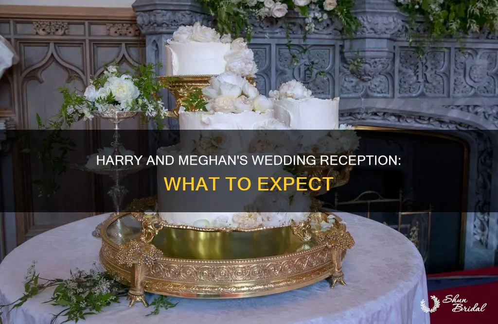 will harry and megan have a wedding reception