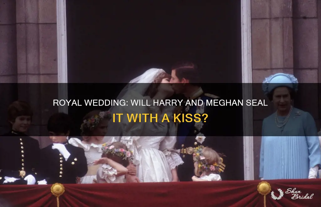 will harry and meghan kiss after the wedding