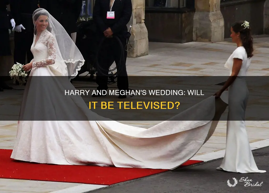 will harry and meghan wedding be on tv