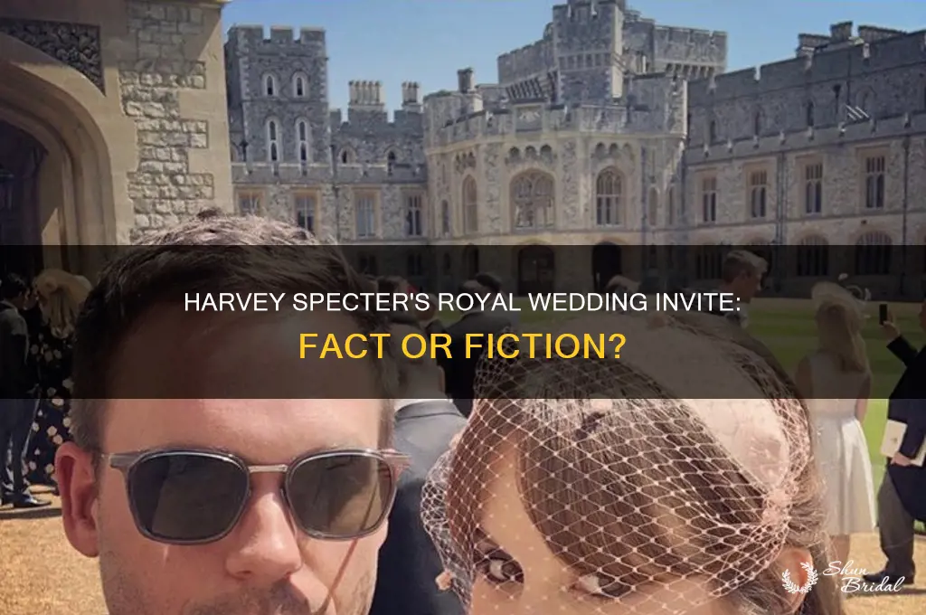 will harvey specter attend the royal wedding