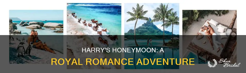 will hary go on a honeymoon