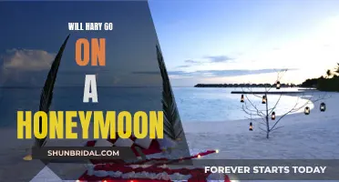 Harry's Honeymoon: A Romantic Getaway or a Missed Adventure?