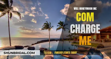 Honeymoon Inc. Charging: What's the Deal?