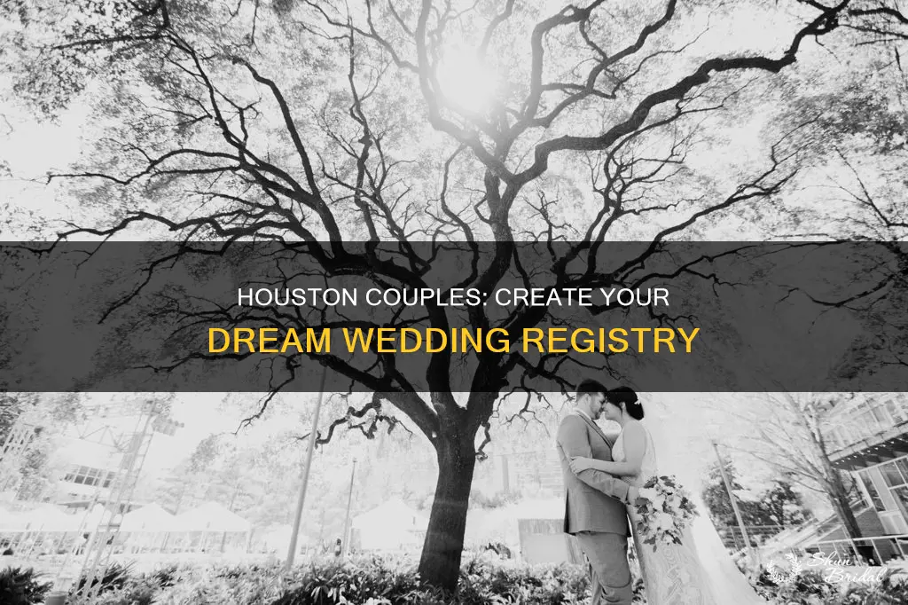 will houston wedding registry