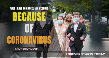 Coronavirus Wedding Woes: To Cancel or Not?