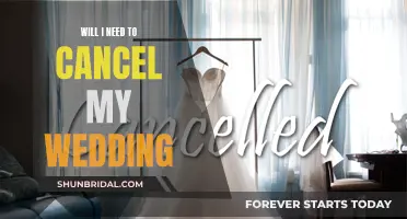 Wedding Worries: To Cancel or Not?