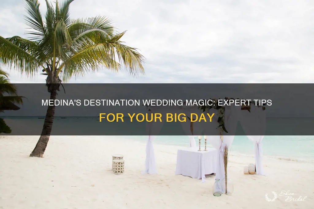 will medina destination weddings expert