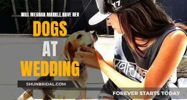 Will Meghan Markle's Dogs Attend Her Wedding?