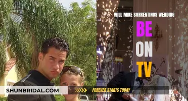 Mike Sorrentino's Wedding: TV or No TV?