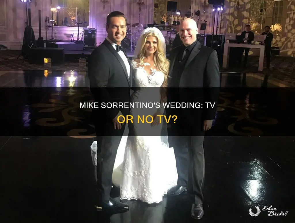 will mike sorrentinos wedding be on tv