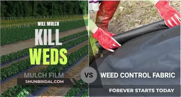 Mulch: Friend or Foe in the War on Weeds?