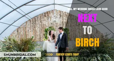 Birch Wedding Backdrop: Will My Dress Look Good?