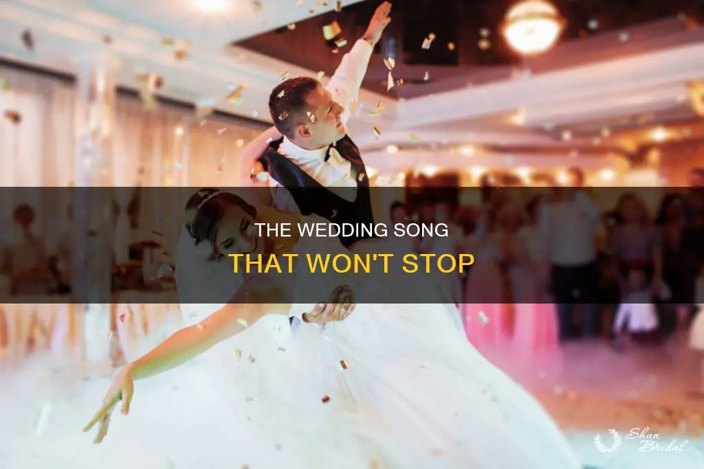 will not stop wedding song