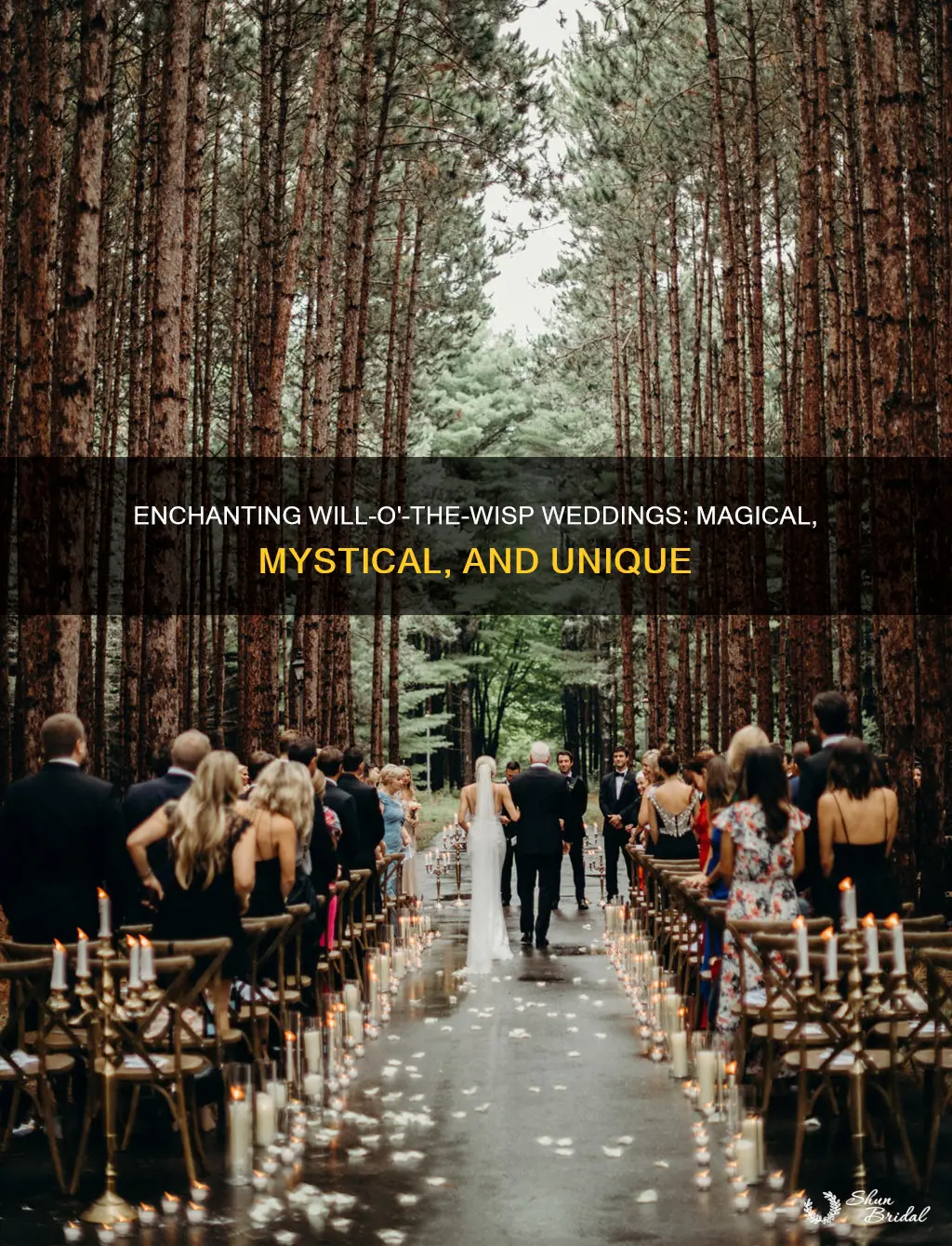 will o the wisp weddings