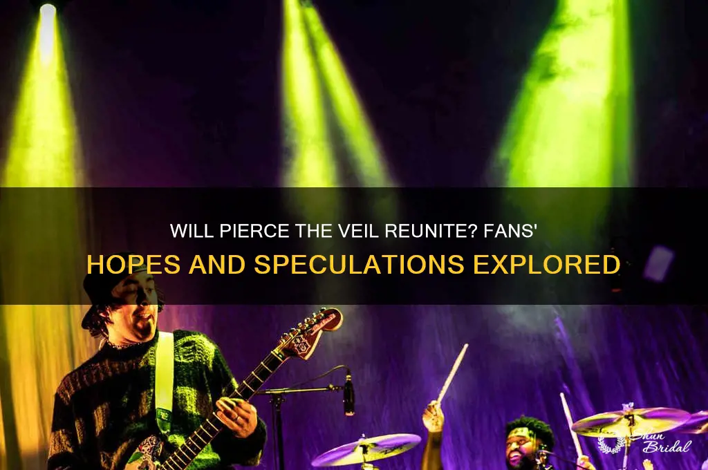 will pierce the veil come back
