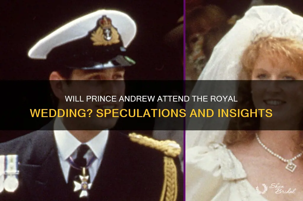 will prince andrew be at the royal wedding