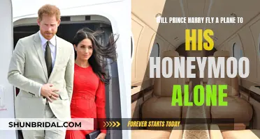 Prince Harry's Solo Honeymoon Flight: A Royal Adventure