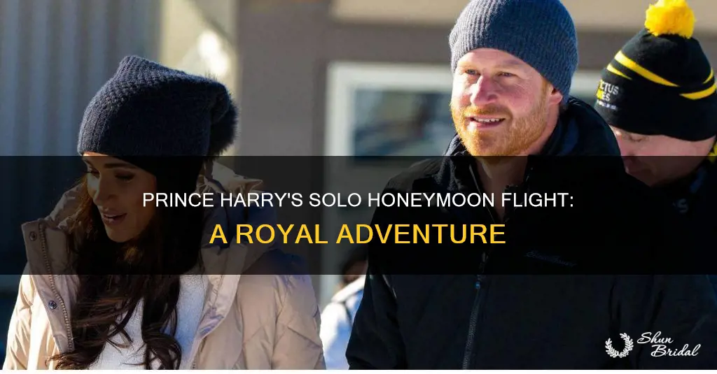 will prince harry fly a plane to his honeymoon alone